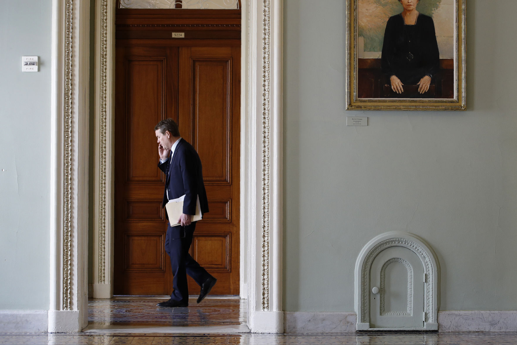 Senate Democrats
